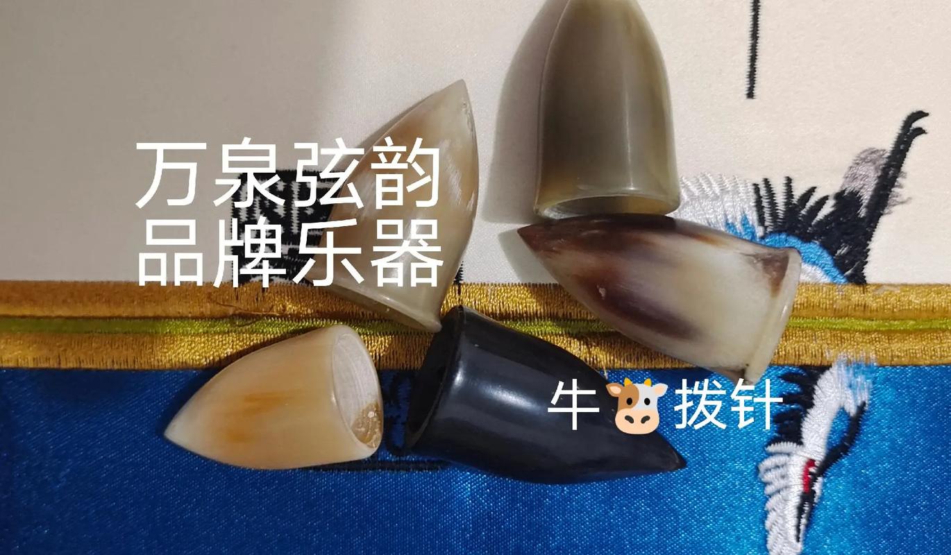 万泉弦韵乐器 #白族三弦弹奏培训 #民族乐器 #乐器制作师 - 抖音